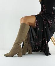 Load image into Gallery viewer, ANEVA
