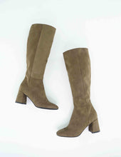 Load image into Gallery viewer, ANEVA
