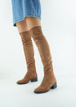 Load image into Gallery viewer, CARLI
