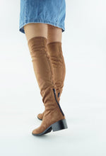 Load image into Gallery viewer, CARLI
